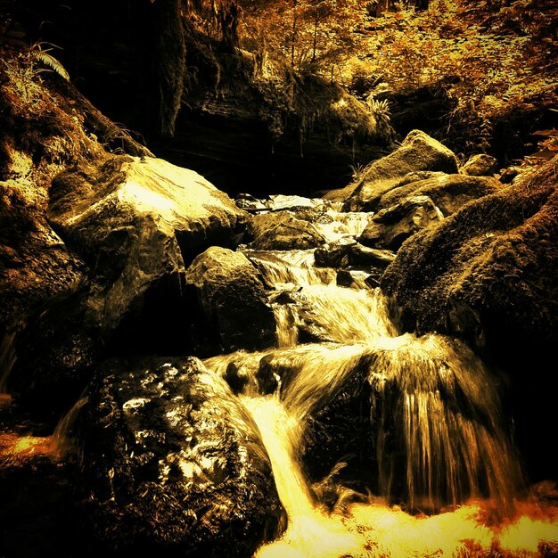 Photo rock formations in forest