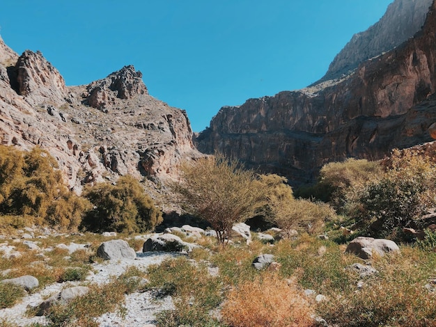 Photo rock formations on landscape against clear sky