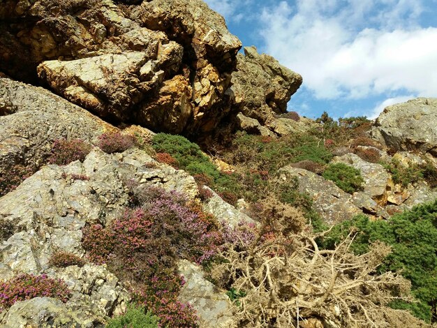 Foto formazioni rocciose sul paesaggio contro il cielo