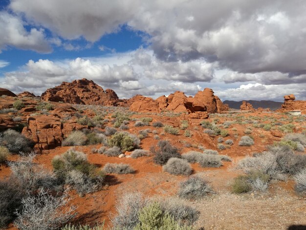 Photo rock formations and plants on landscape against cloudy sky