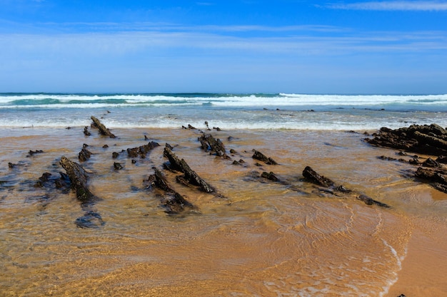 모래 해변(Algarve, Costa Vicentina, Portugal)의 암석.