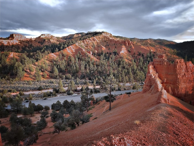 Photo rock formations and trees at red canyon