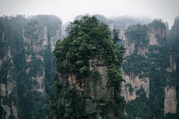 Foto formazioni rocciose nel parco forestale nazionale di zhangjiajie