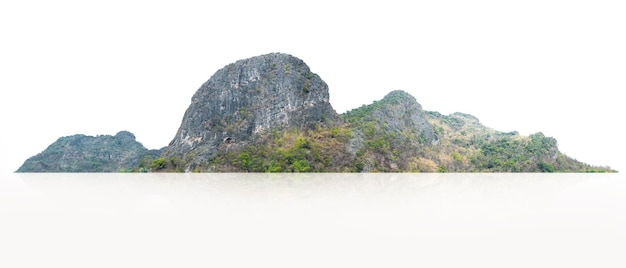 Rock mountain hill with green forest isolate on white background