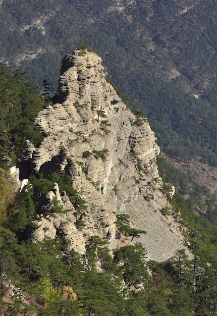 Rock in the mountains of Crimea