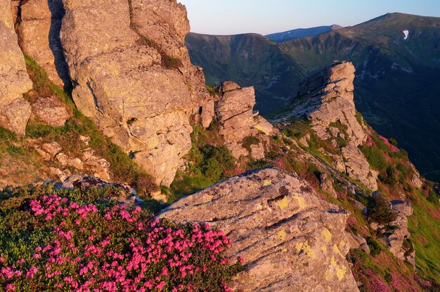 Foto roccia in montagna paesaggio di mattina
