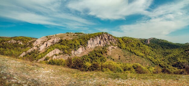 rock in the mountains in summer