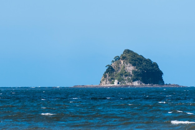 Photo rock - object in palm cove