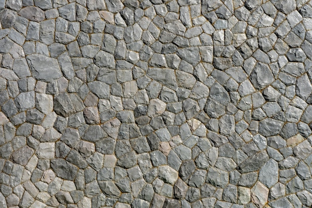 Rock patroon grijze kleur en Mos plant van moderne stijl ontwerp decoratieve ongelijke gebarsten