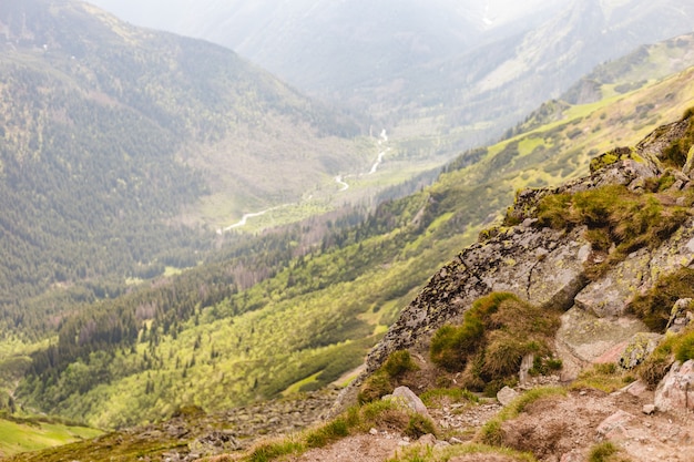 Rock Peak in de bergen