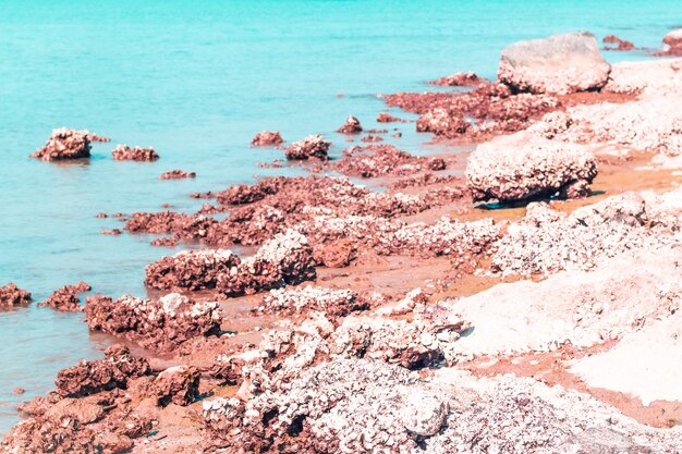 Spiaggia rocciosa con mare blu