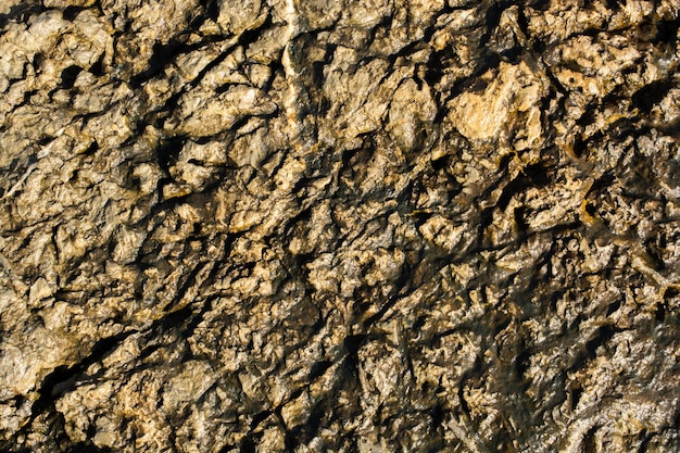 Rock or Stone surface as background texture