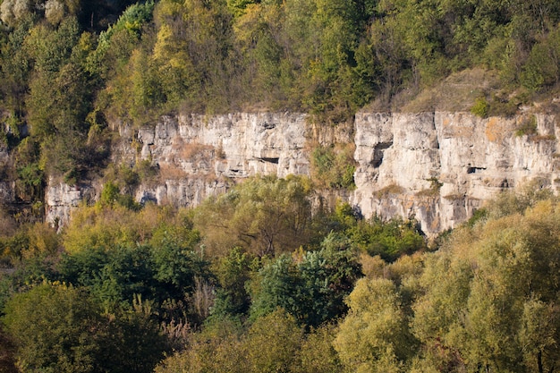 Photo rock structure in the canyon