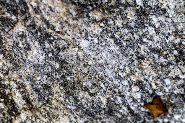 Rock texture background