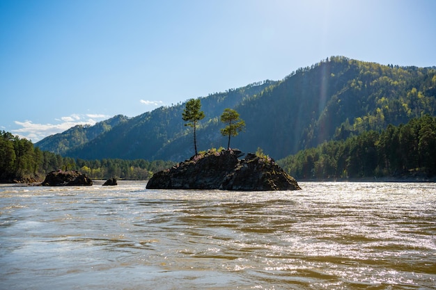 Rock that looks like a bear on an island in the middle of katun river in altai