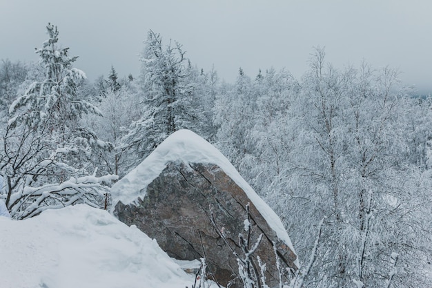 Rock on winter forest on a cold day