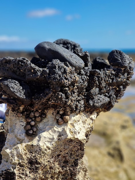 Photo a rock with a black rock and a white rock with a blue sky in the background.