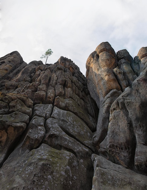 空を背景に亀裂のある岩 岩の上の木 ドブブッシュの岩 ウクライナ
