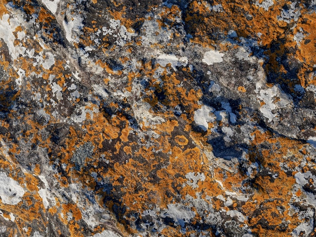 Rock with gray and orange color, texture background.