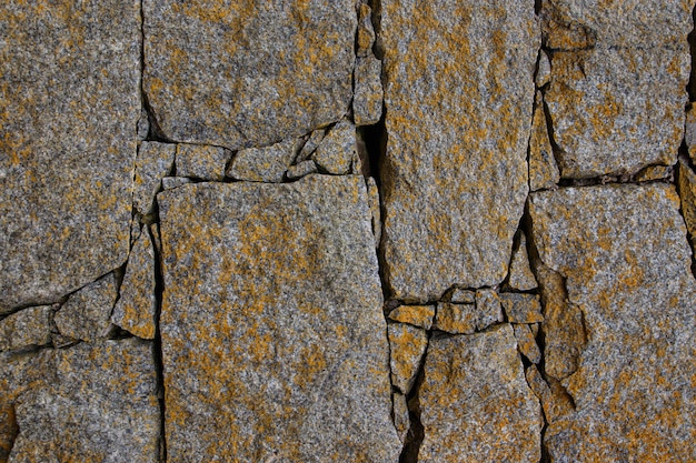 A rock with orange lichen on it