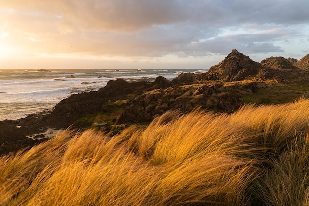 Rocks aged up to 15 billion years on the Takayna Tarkine Coast Tasmania Australia