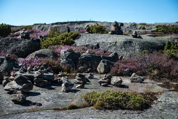 写真 明るい空を背景に山の岩と植物