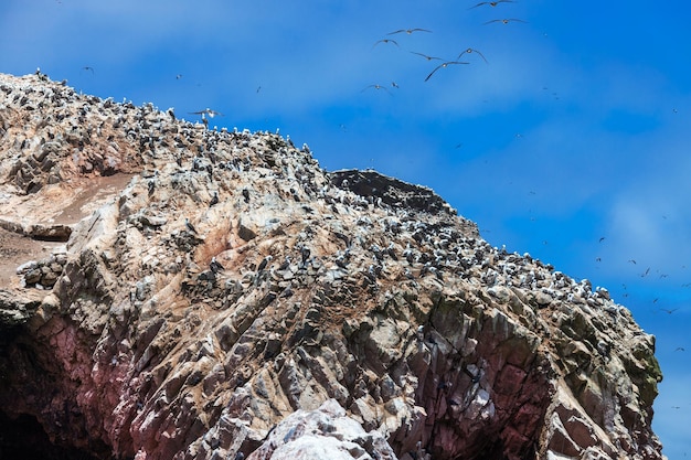 Rocks of Ballestas Islands