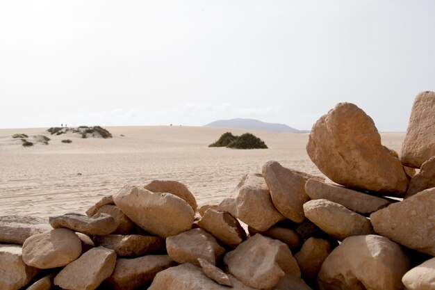 Photo rocks on beach against clear sky