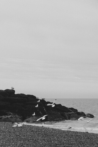 Foto rocce sulla spiaggia contro il cielo