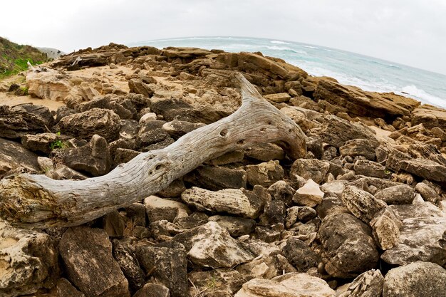 Foto rocce sulla spiaggia contro il cielo