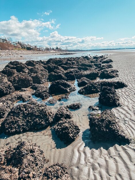 Foto rocce sulla spiaggia a bassa marea a white rock beach, british columbia, canada