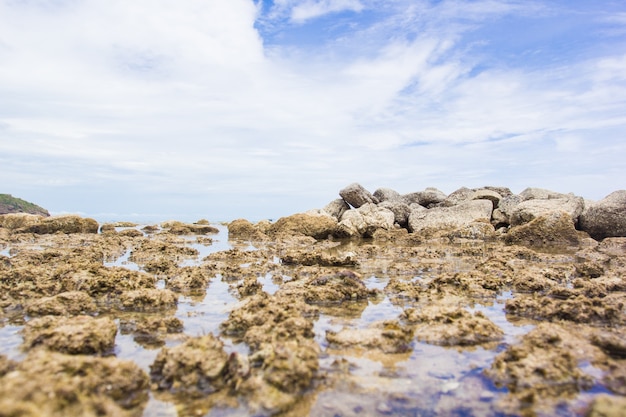 The rocks on the beach