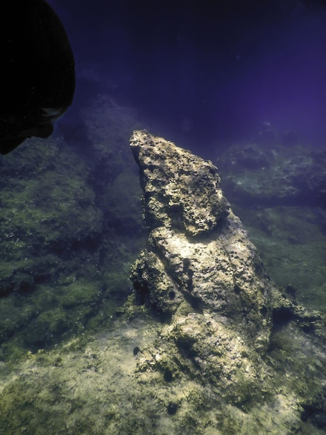 Скалы на дне океана Подводная жизнь