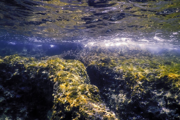 Rocks at Bottom of Ocean Floor