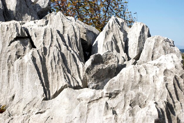 Photo rocks on cliff against mountain