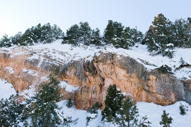 Rocks covered with snow, on which the forest grows