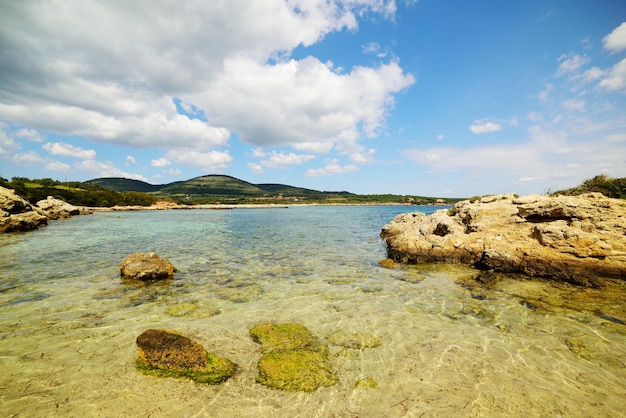 イタリアのアルゲーロの岩と透き通った水