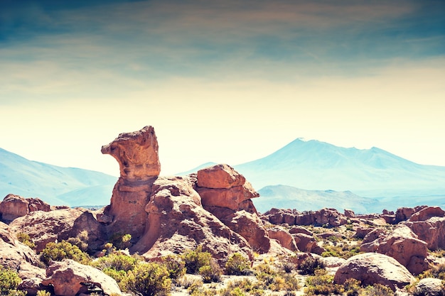 Rocks in the desert on plateau Altiplano, Bolivia