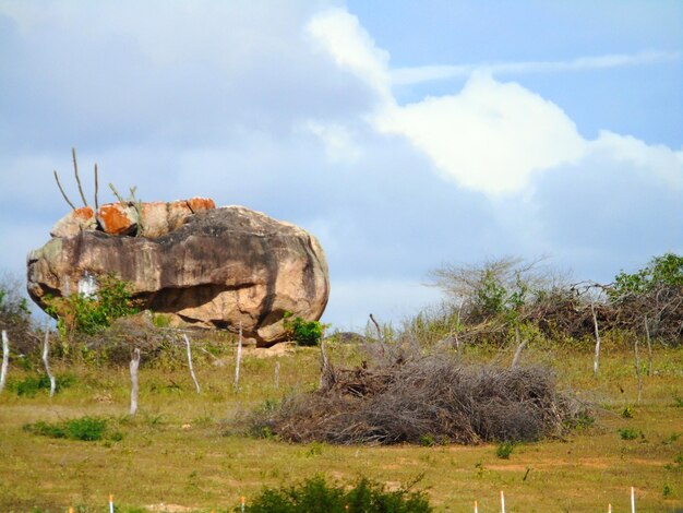 Rocks on field against sky