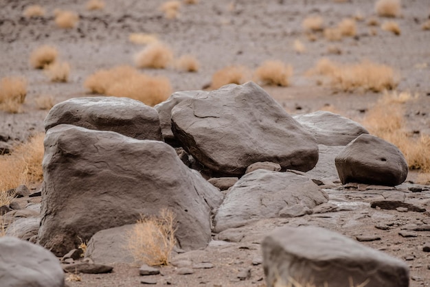 Photo rocks on field arranged naturally