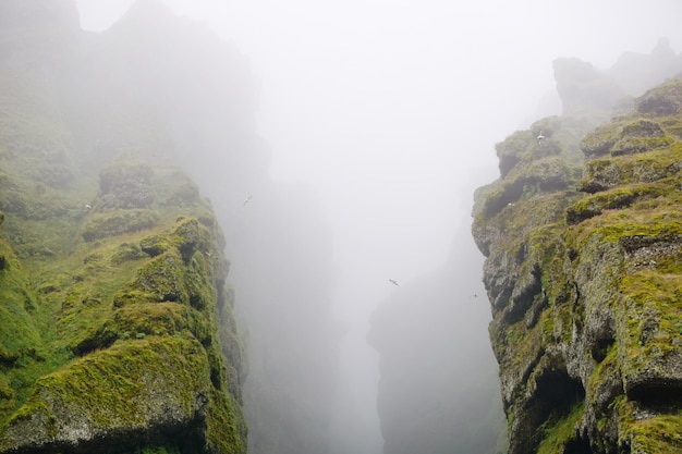 Rocks and fog at Raudfeldsgja Gorge on Snaefellsnes Peninsula in Iceland