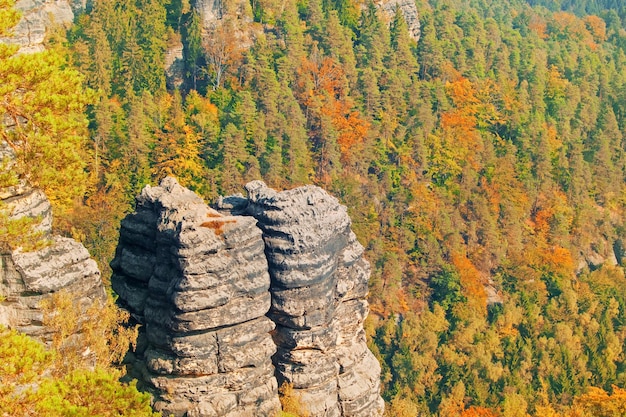 Rocks on the forest background Toned