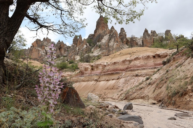 Rocks formed by wind erosion