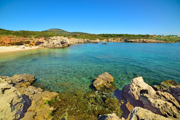 イタリアのサルデーニャ島の岩と黄金の砂