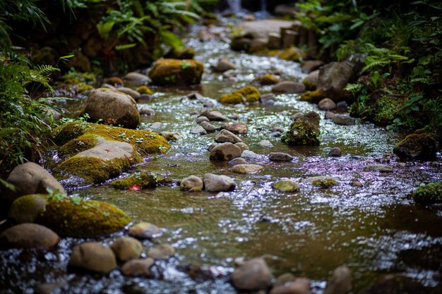 写真 流れの中の岩