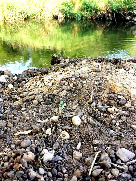 Rocks in a lake