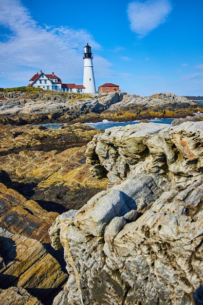 Rocks like petrified wood with white lighthouse and rocky coastline in Maine