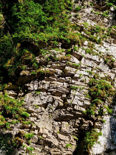 Rocks in the mountains in Mendelikh Waterfalls Park in Sochi