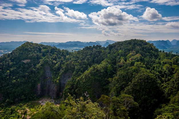 Rocks overgrown with green trees in Krabi Province, Thailand.