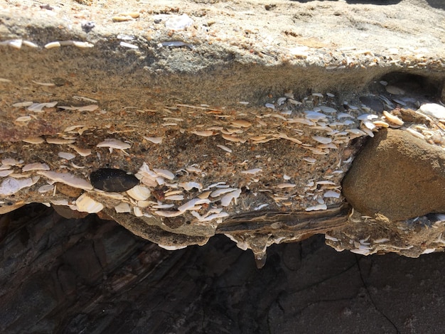 Rocks on rock formation